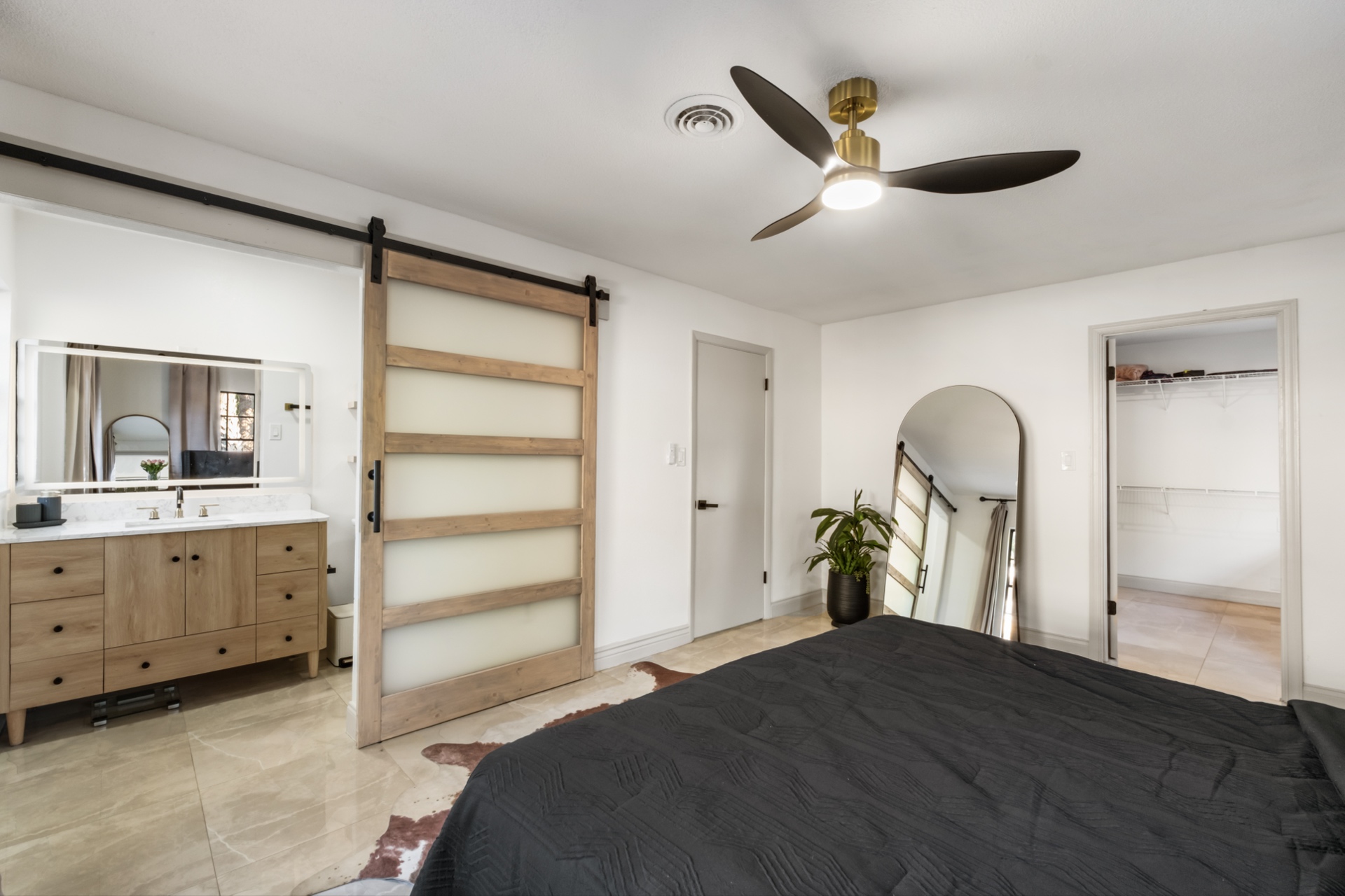 Barn Door with Frosted Glass